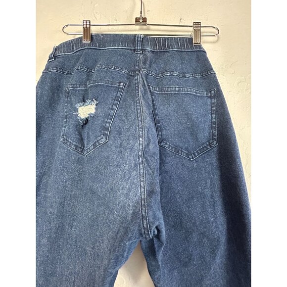 Hue Womens Blue Distressed Denim Skinny Jeans XL Stretch Frayed Hem Mid-Rise - Picture 3 of 10